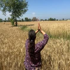 Komal Tikoo's profile picture